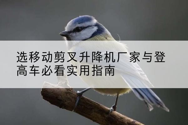 上林电动升降机厂家-选移动剪叉升降机厂家与登高车必看实用指南