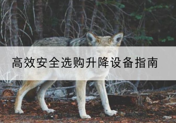上林升降货梯厂家推荐-*安全选购升降设备指南